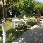Sofia's *
