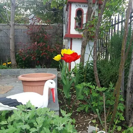 乡村民宿 Sofia's 艾斯普罗瓦塔