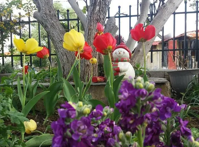 Sofia's * Asprovalta