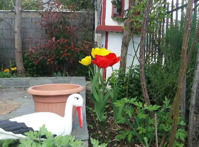 Landhuis Sofia's Asprovalta