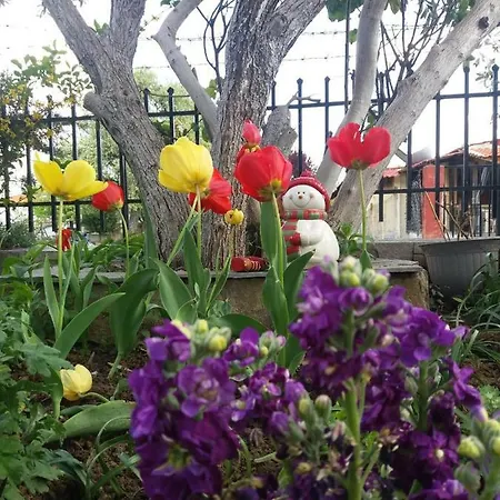 Sofia's * Asprovalta