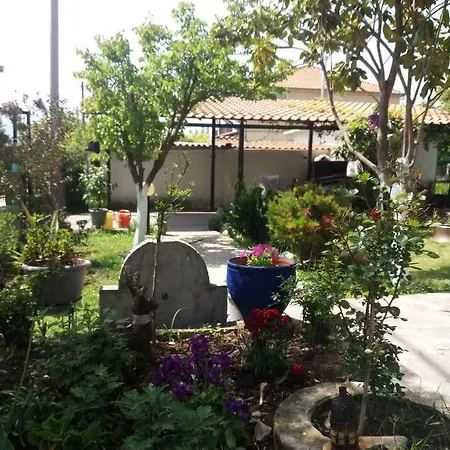 Sofia's Летний дом *